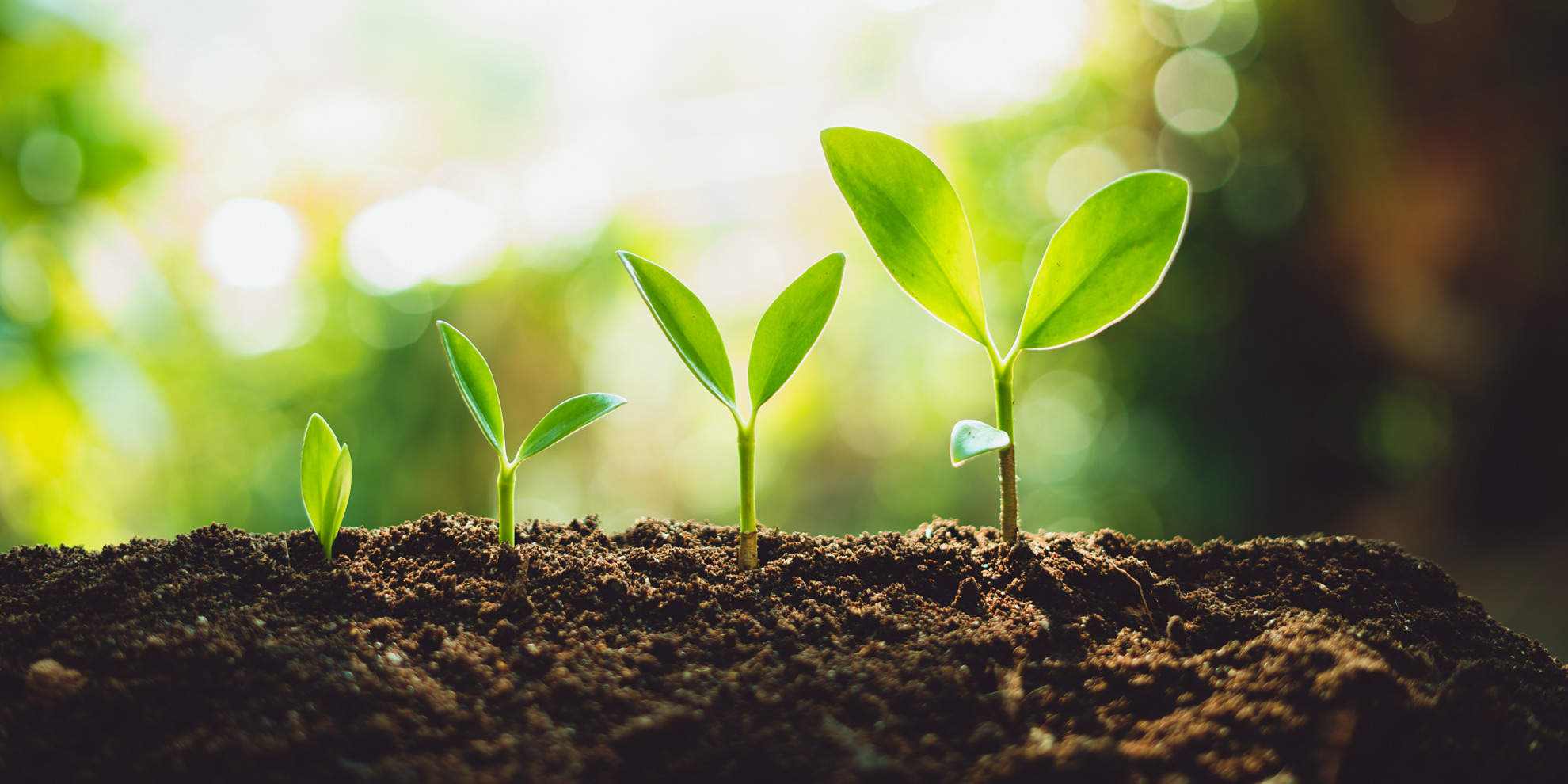 Environmental policies