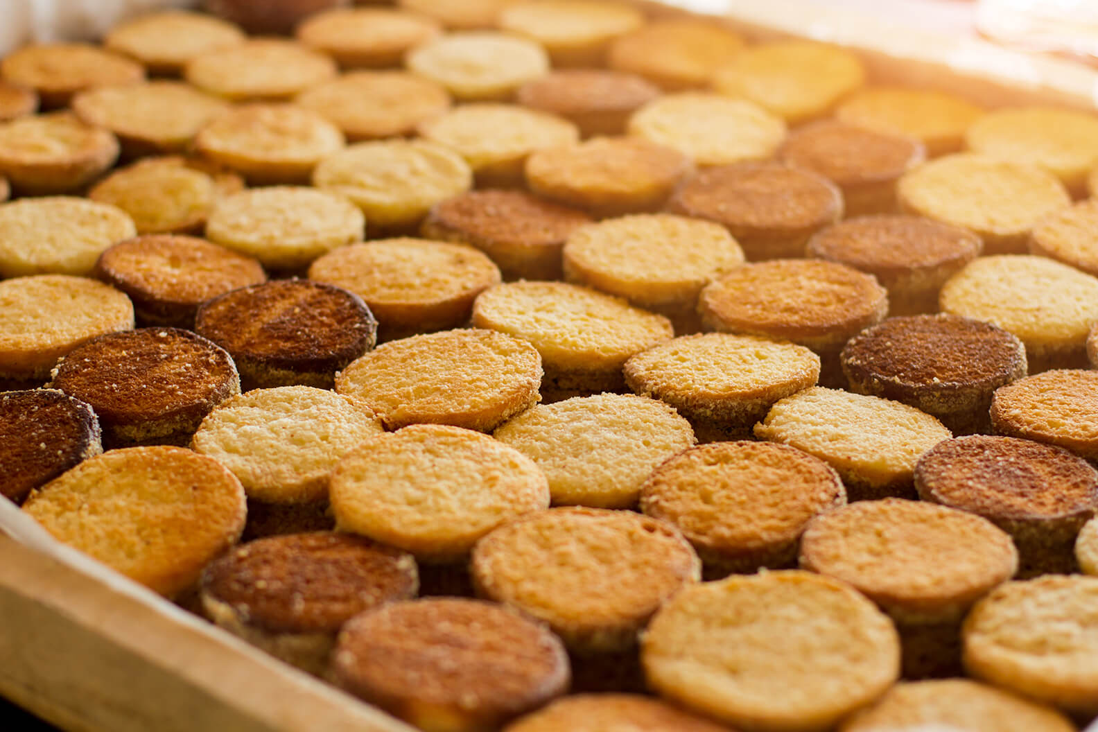 steam boilers to i-Temp ci 90t non pressurised water heaters.