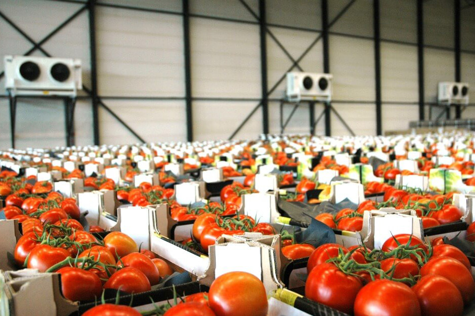 hvac storing fruit and veg