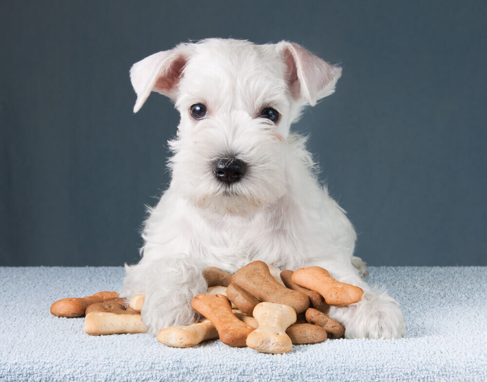 heating and cooling process for pet food manufacturing